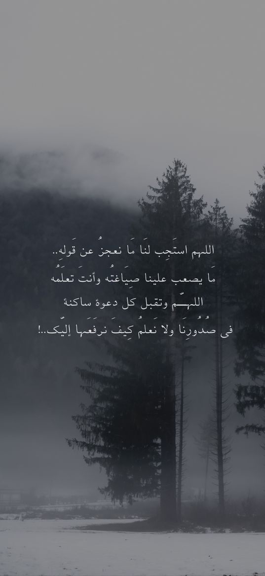 words, snow, forest, tree, winter, arabic, islam, quote