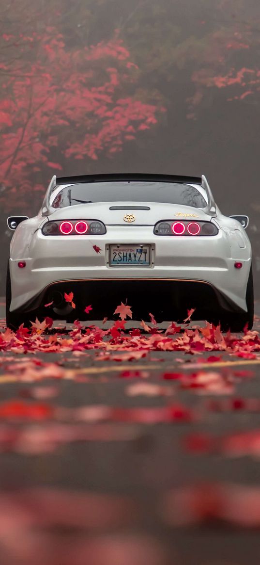 toyota supra, toyota, car, sports car, white, headlights, autumn