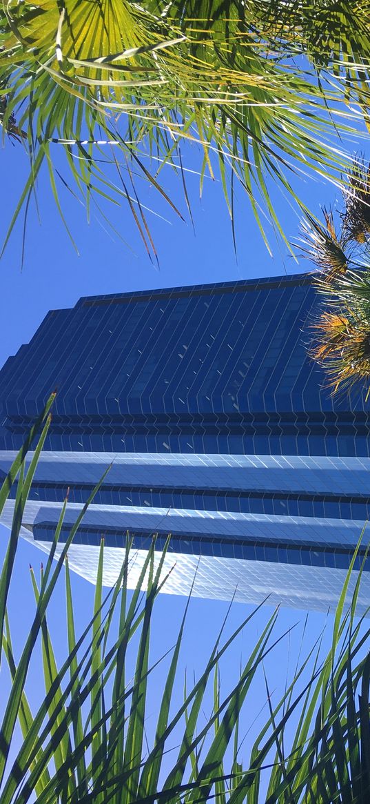 building, facade, architecture, palm trees