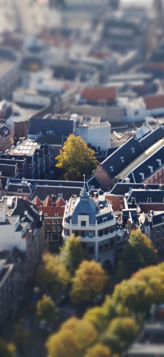 buildings, trees, aerial view, architecture