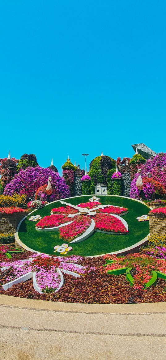 garden, dubai, flowers, clock, sunny