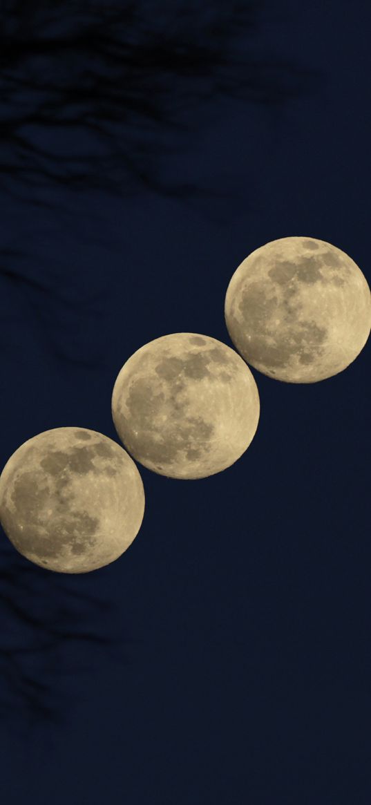 moon, phases, full moon, night, sky