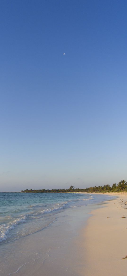 sea, beach, shore, palm trees, tropics