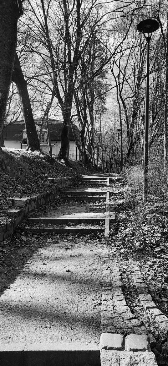 path, black and white, stairs, trees