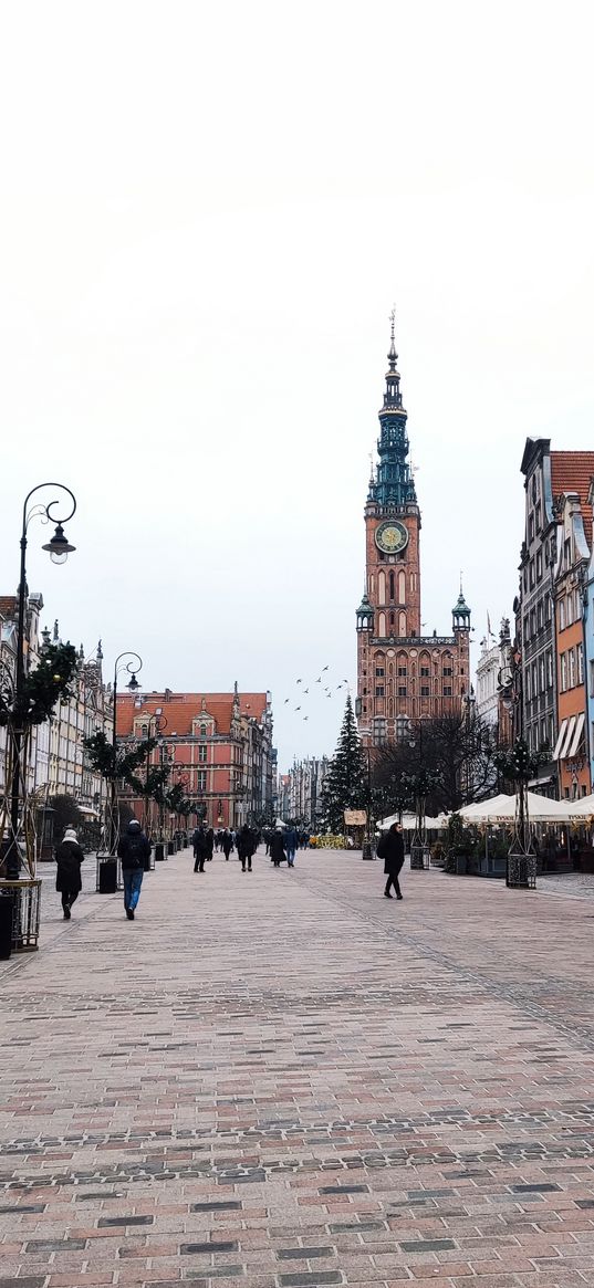 old town, city, gdansk, poland, birds