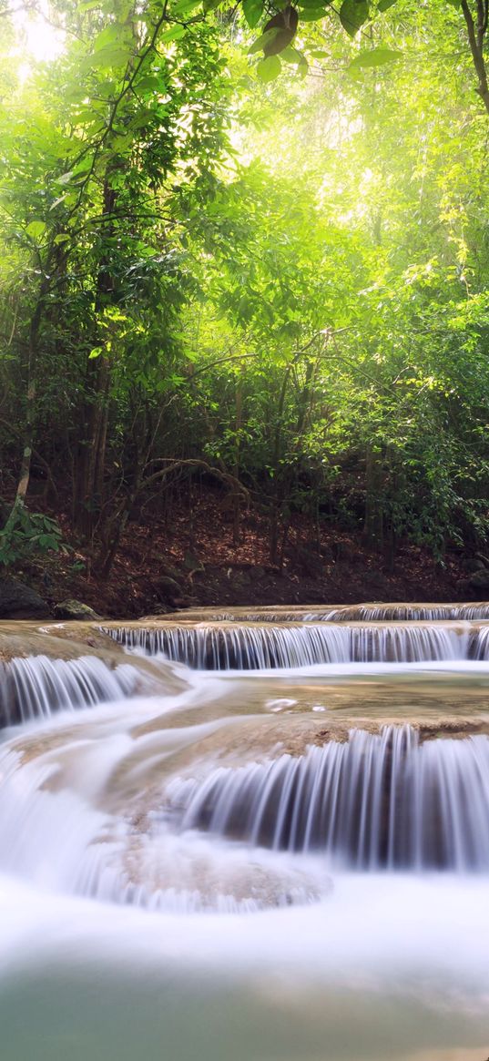 forest, waterfall, nature, landscape