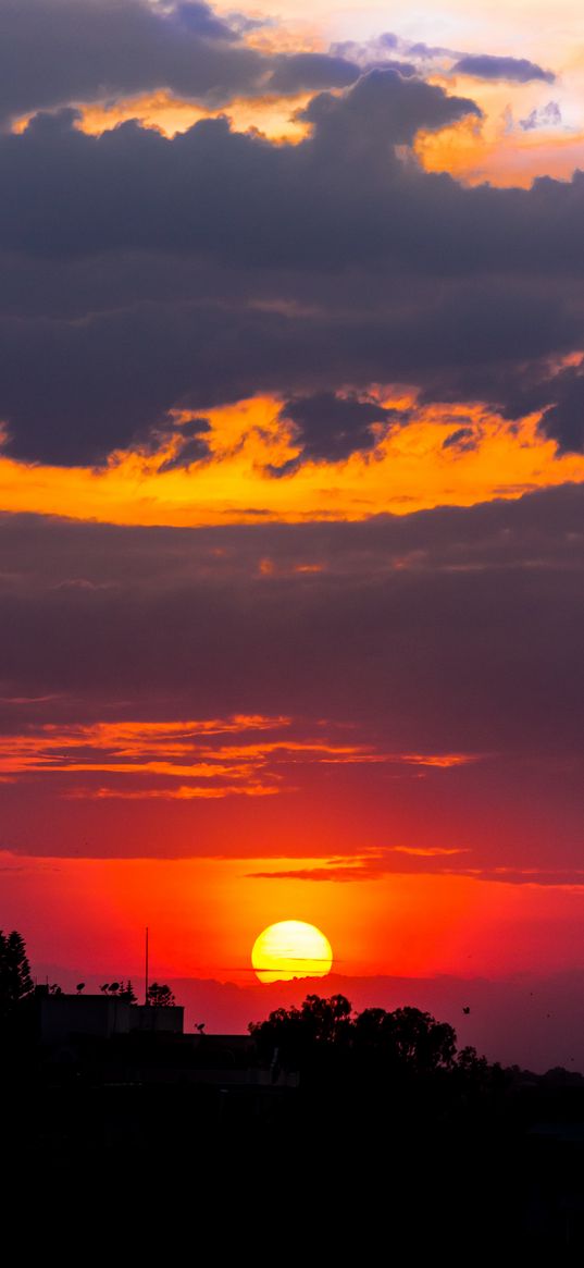 sunset, sun, trees, silhouettes, dark