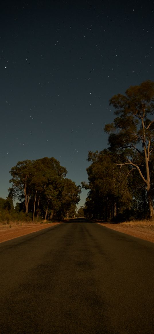 road, trees, stars, evening