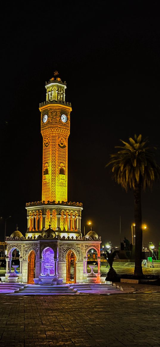 tower, clock, palm tree, city, night