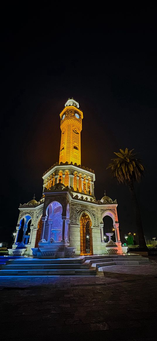 tower, clock, backlight, palm tree