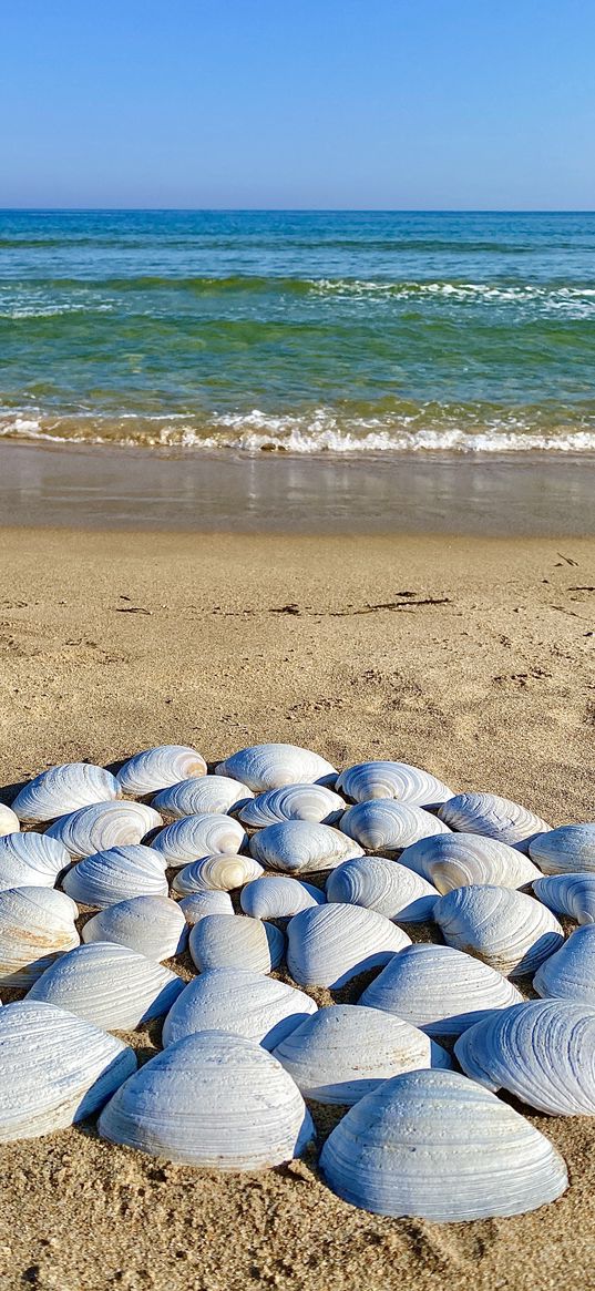 sea, beach, seashells, sky