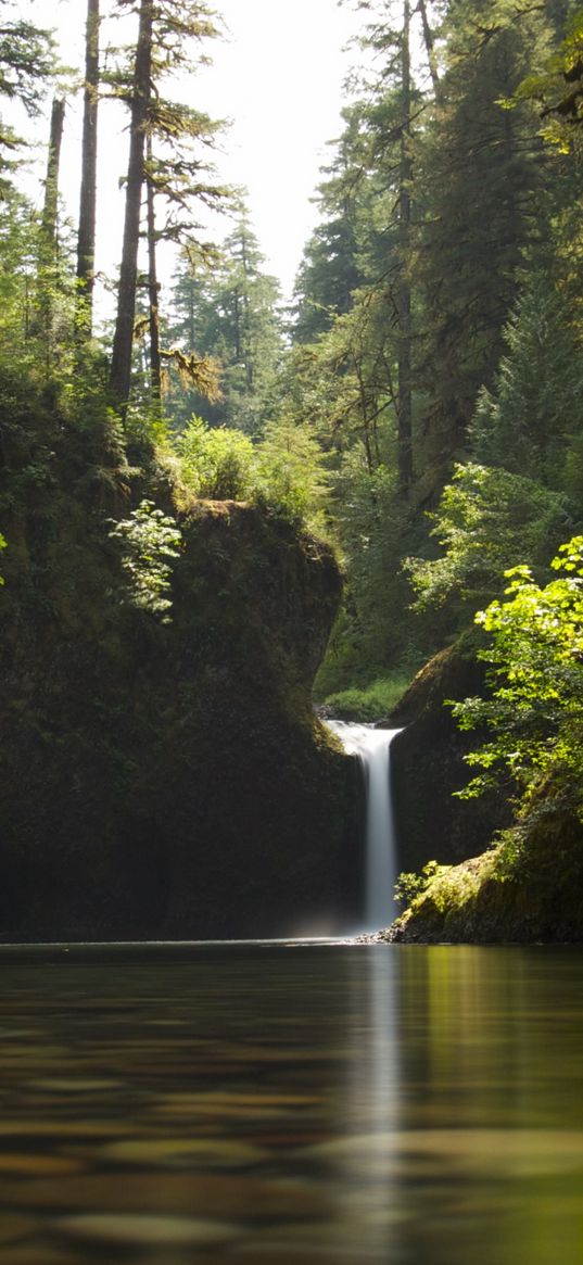 lake, waterfall, rock, trees, forest