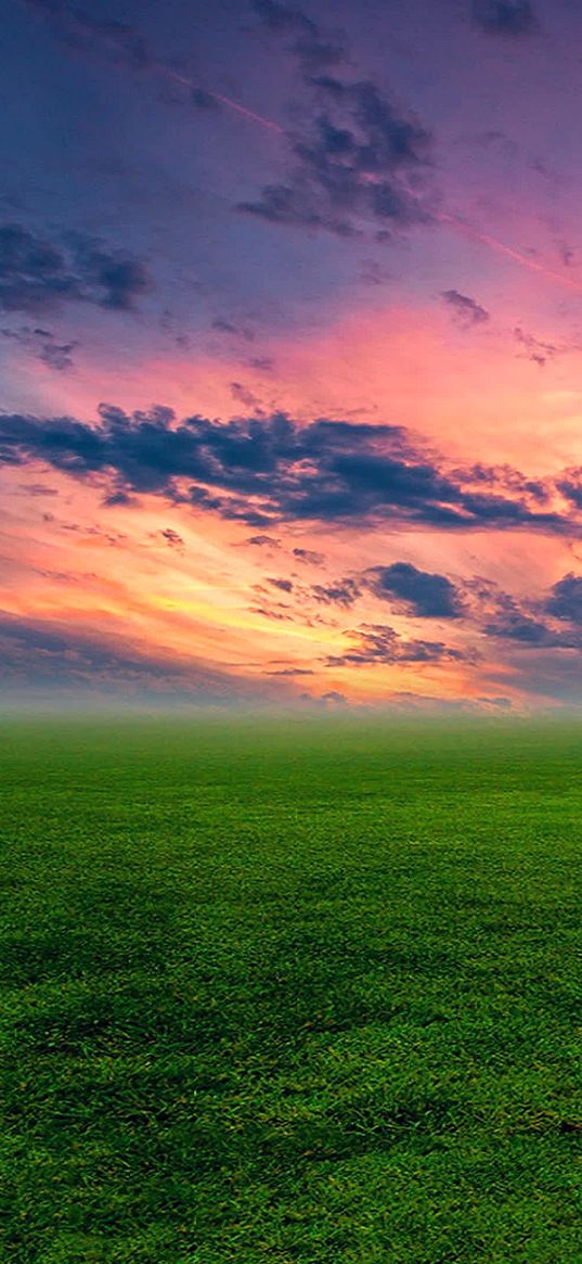 meadow, dawn, sky, sunset, field, clouds