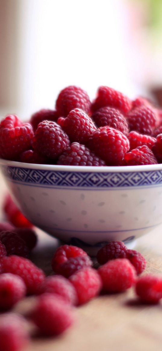 food, raspberry, berry, plate