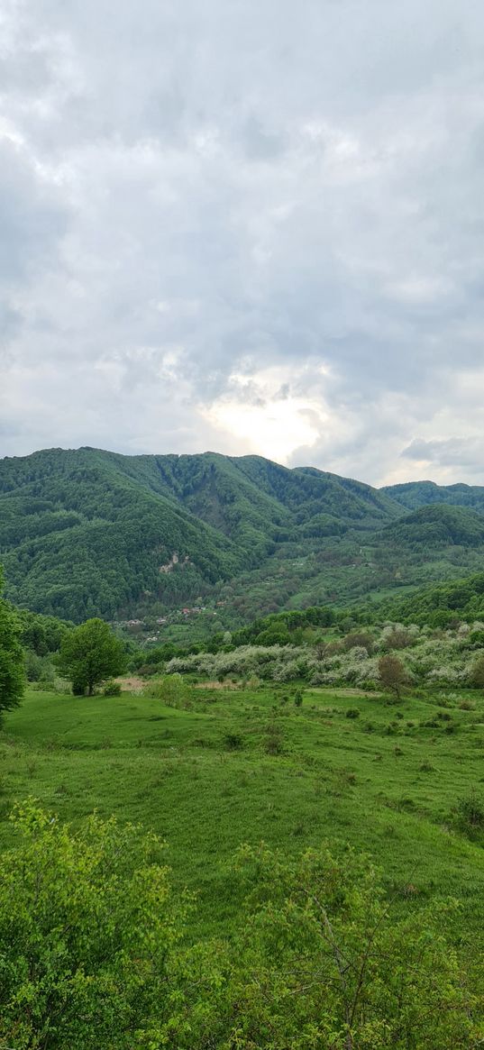 mountains, sky, nature, greenery