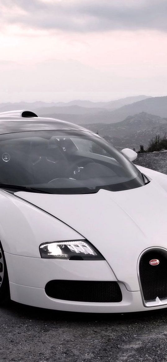 bugatti, veyron, cars, sport cars, white, hood, lights, suite