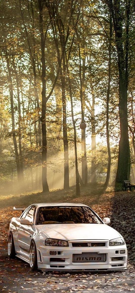 gtr, car, forest, nature