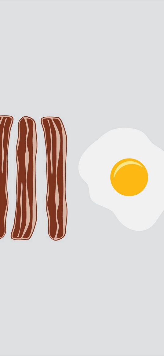 bacon, eggs, food, vector