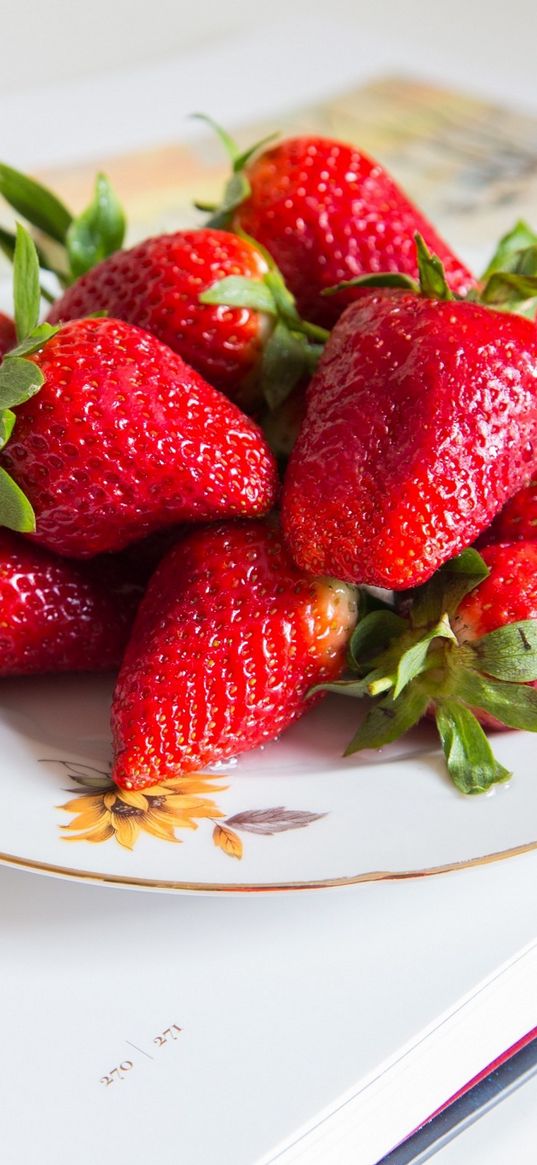 strawberries, berries, red, plate, book