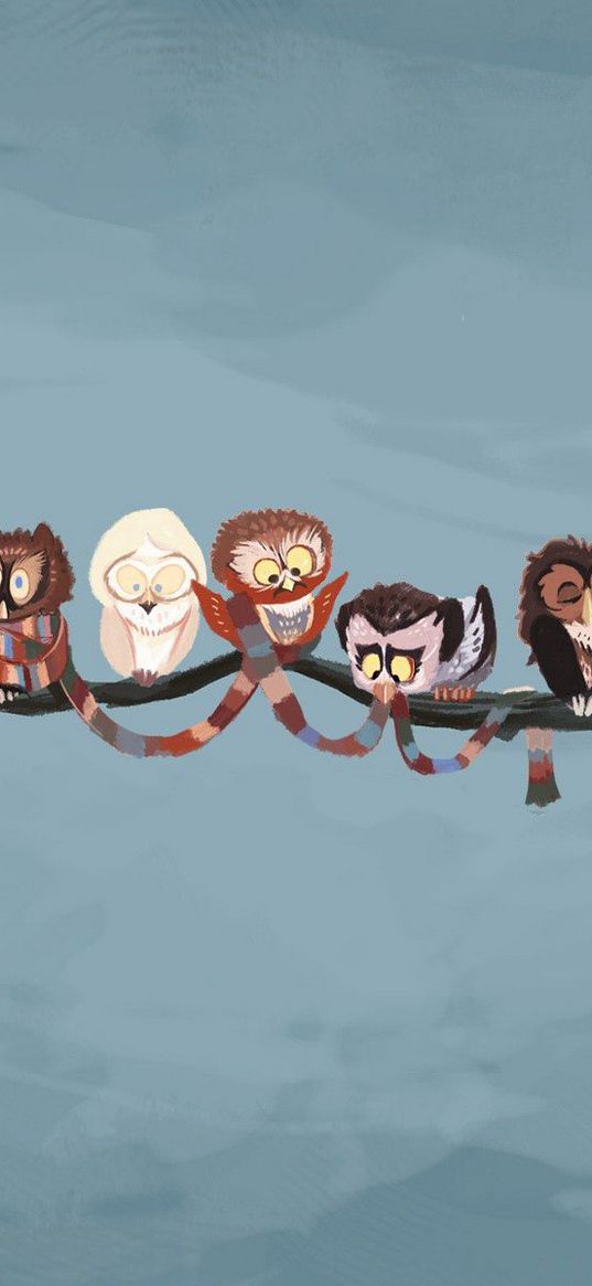 branch, birds, owls, scarf