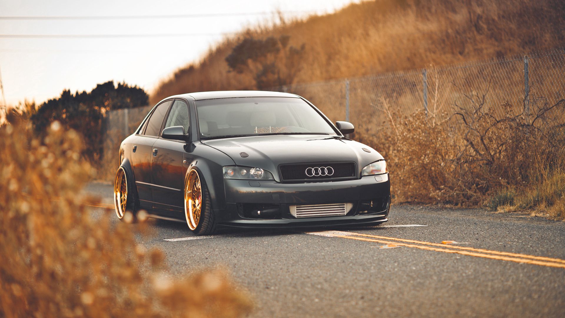 audi, a4, autumn, gold