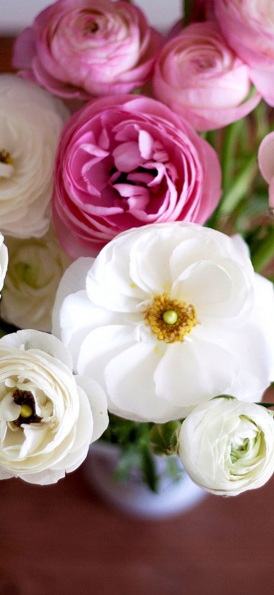 buttercup, ranunculus, bouquet, flowers, white, pink, buds, petals, vase