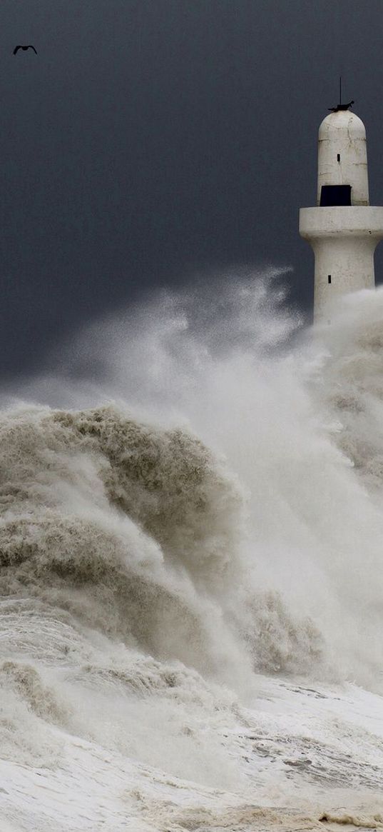 storm, tempest, lighthouse, sky, birds, waves