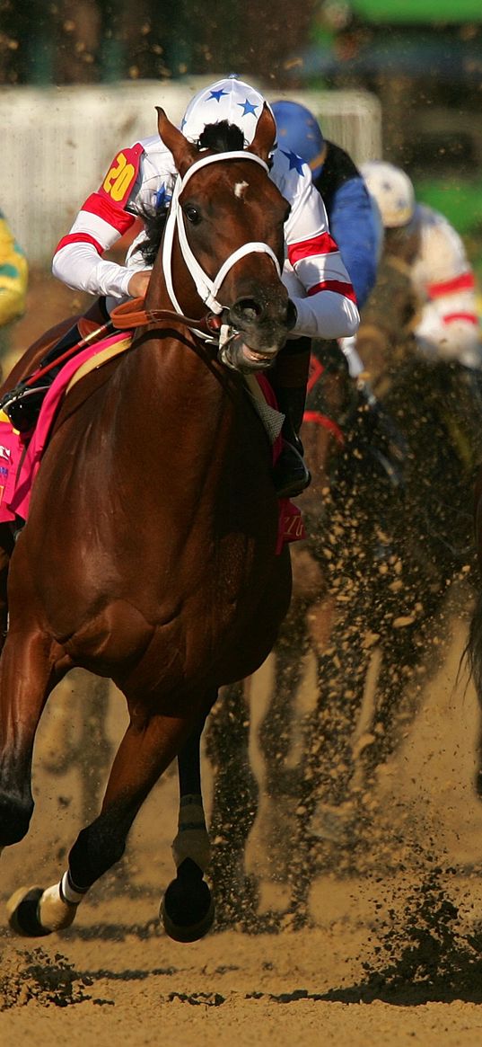 california chrome, kentucky derby, dominating fashion