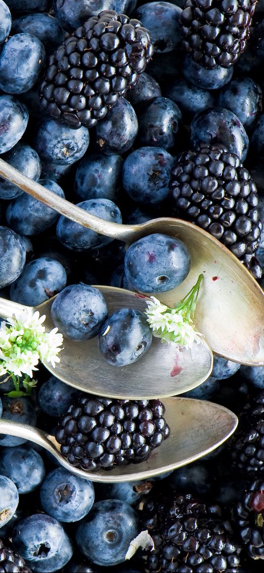 blueberries, blackberries, spoon, berries