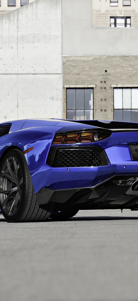 lamborghini, aventador, lp700-4, blue