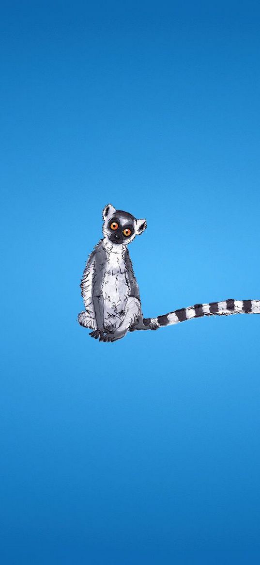 lemur, blue background, tail, striped, minimalism