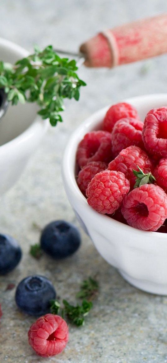 berries, raspberries, cranberries, saucers