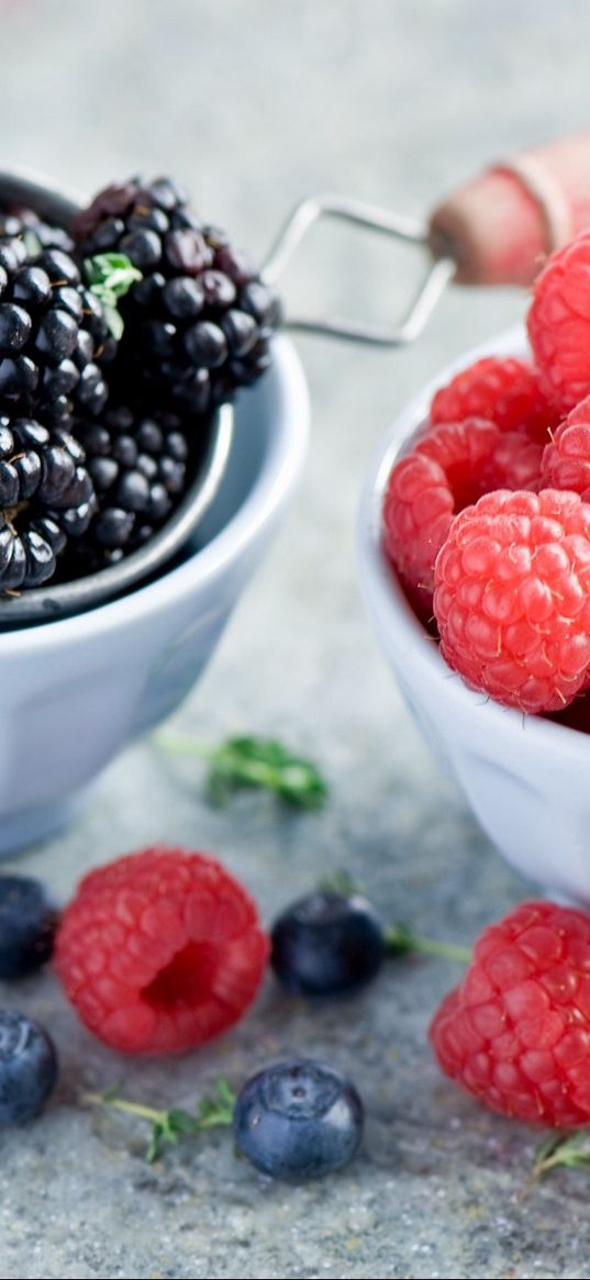 blackberry, raspberry, berry, bowl