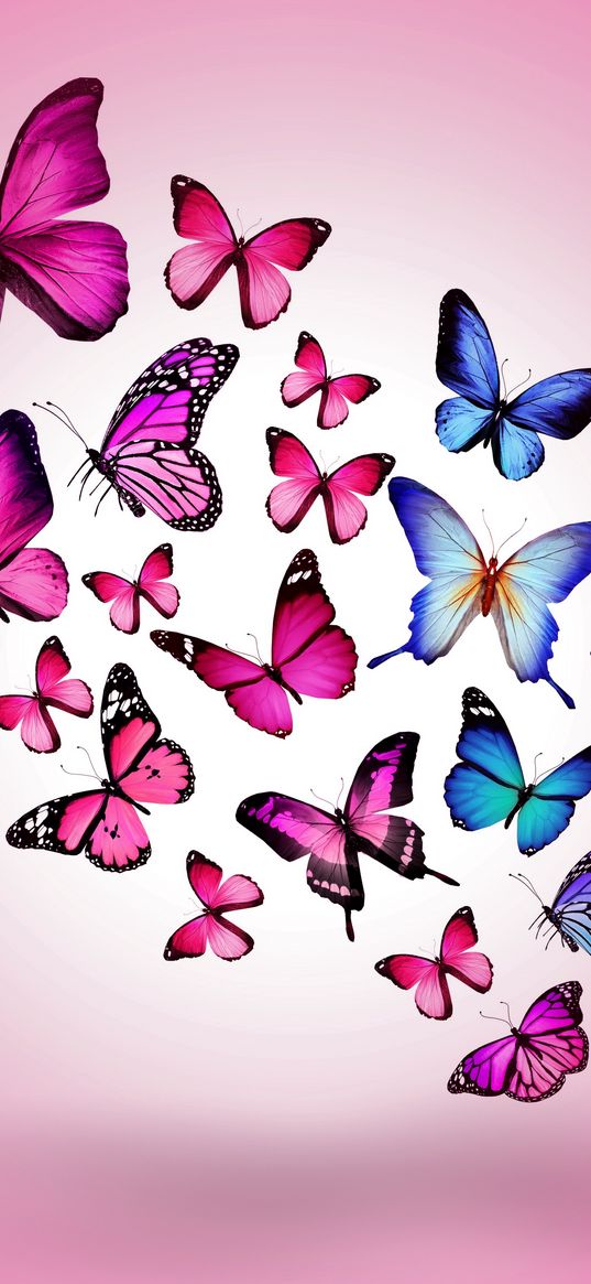 butterfly, drawing, flying, colorful, background, pink