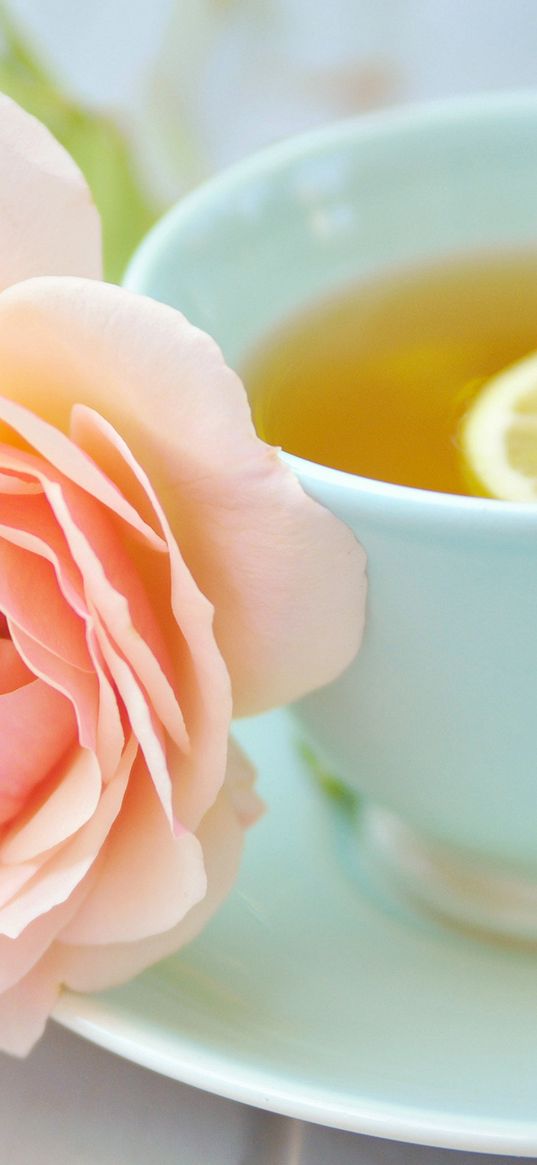 tea, cup, lemon, rose