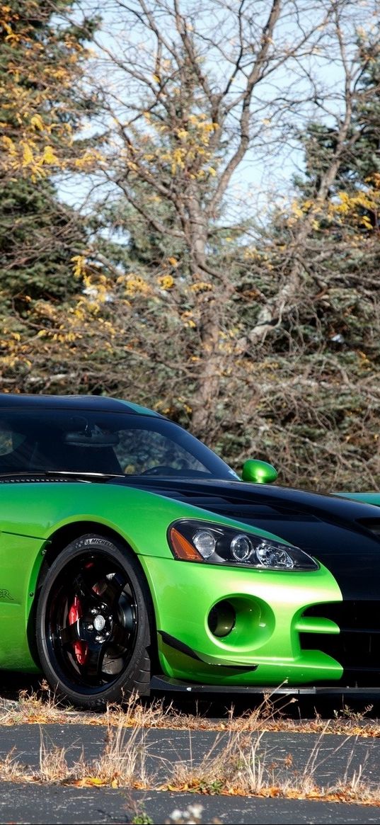 dodge, viper, acr snakeskin edition, auto, green, flyover, sky