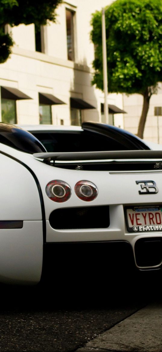 bugatti, white, rear view, bumper