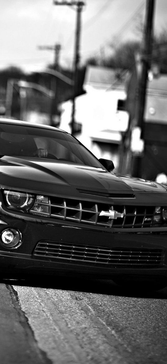 chevrolet camaro, chevrolet, cars, front view, black white