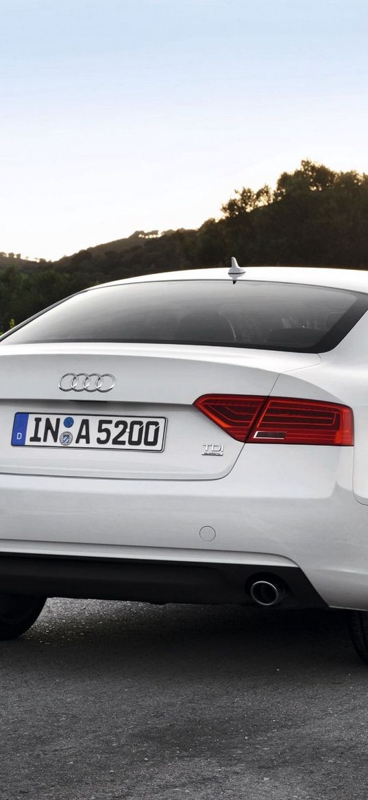 audi, a5, tdi, white, rear view