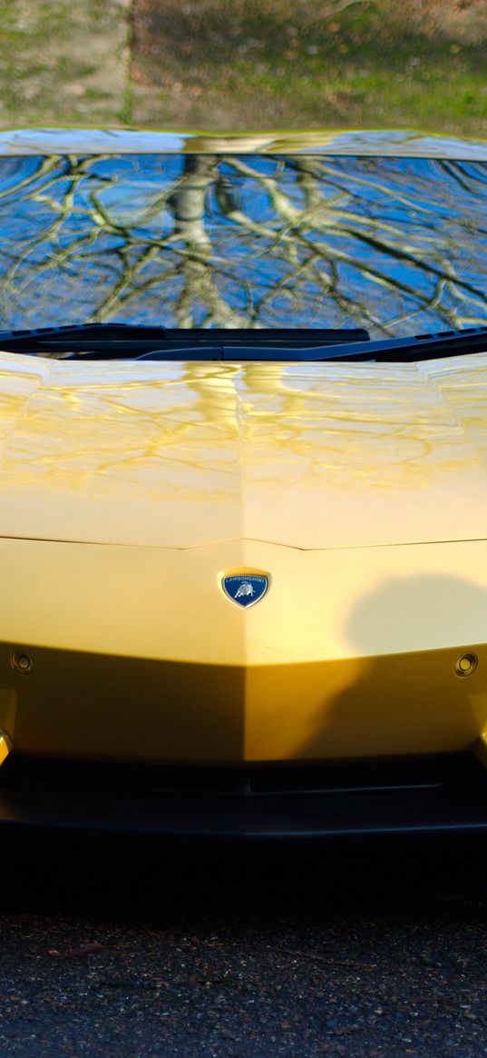 lamborghini, aventador, lp700-4, yellow, car, front view