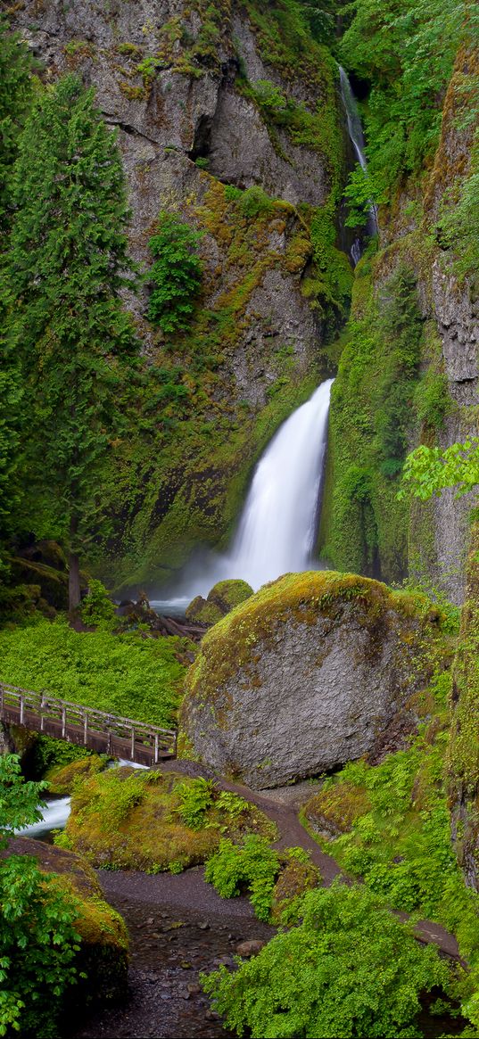 wahclella falls, oregon, waterfall, grass, hill