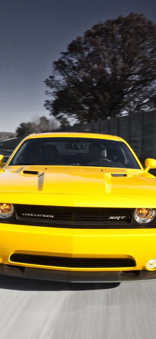 dodge challenger, srt8 392, cars, style, yellow, speed