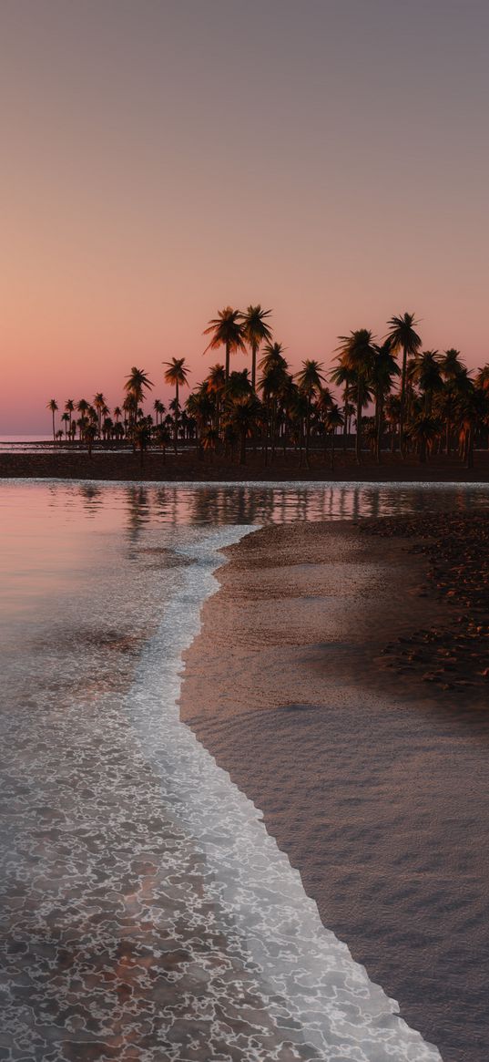 ocean, tropical, palm, coast, sunset, sky