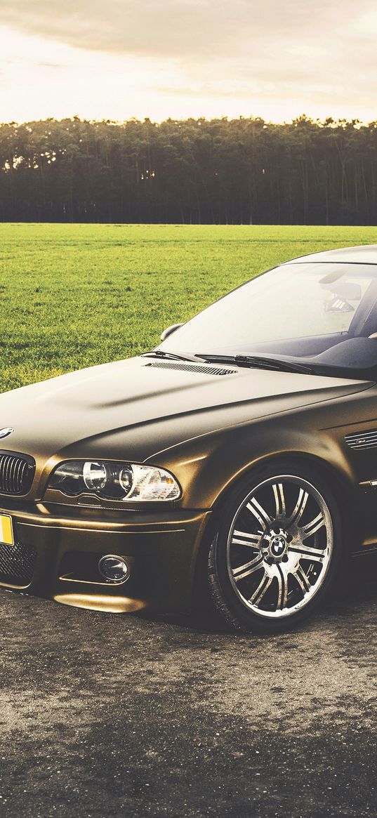 bmw, m3, black, side view, grass, trees