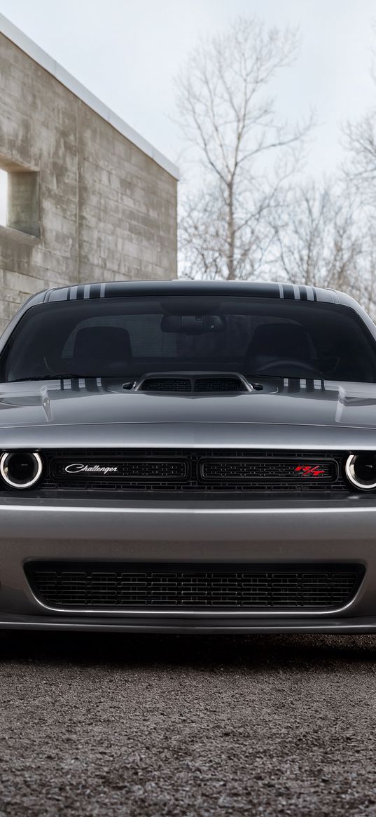 2015, dodge, challenger, gray, front view, 392, hemi, scat pack shaker