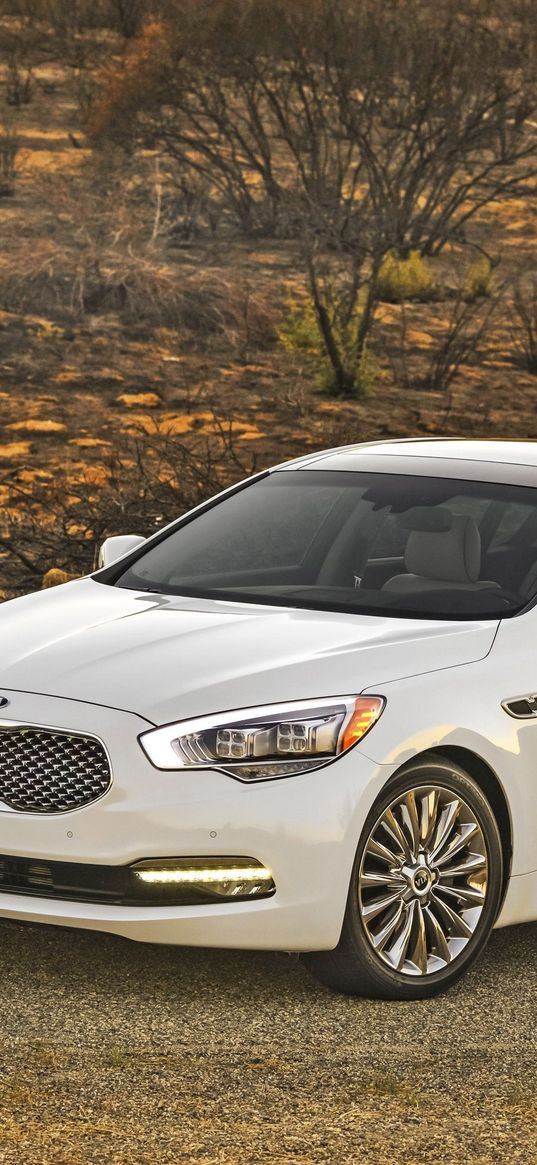 sedan, premium class, kia, 2015