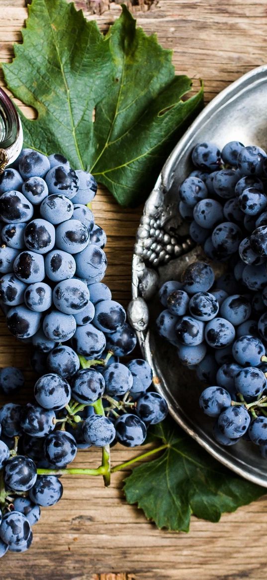 grapes, branch, fruit, jam