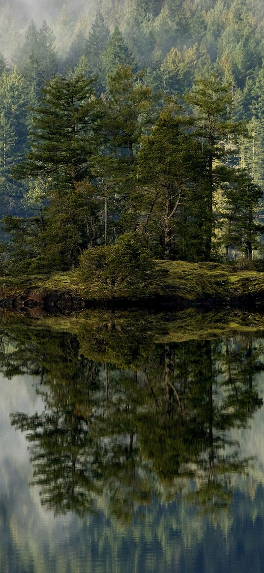 forest, lake, reflection, island, mist