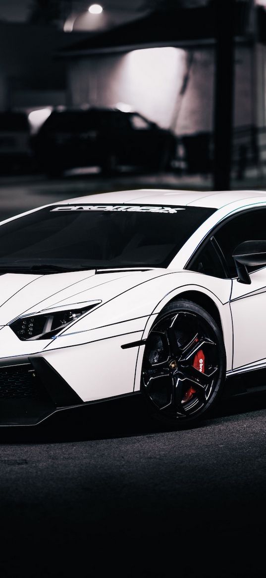 lamborghini, aventador, lp700-4, white, side view, 2014, tron tuning