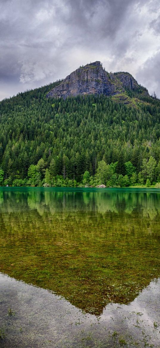 washington, rattlesnake ridge, lake, trees, landscape, mountain, reflection